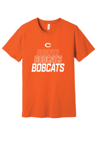 HOLLOW BOBCATS