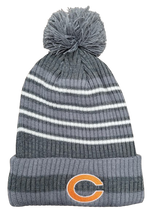 Celina Gray Striped Beanie